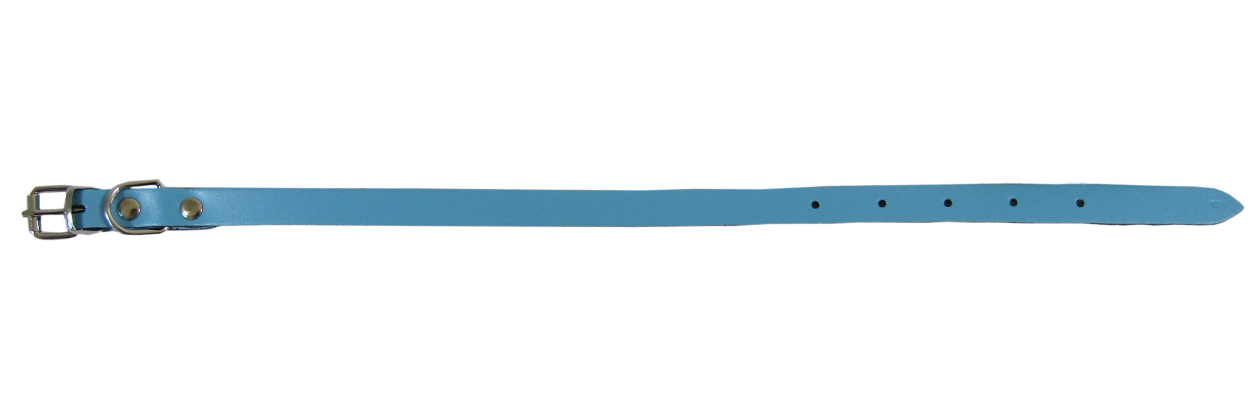 Zgarda Albastră Exotic-K 1.2/37 cm - Design Simplu pentru Câini Zgarda Albastră Exotic-K 1.2/37 cm - Design Simplu pentru Câini