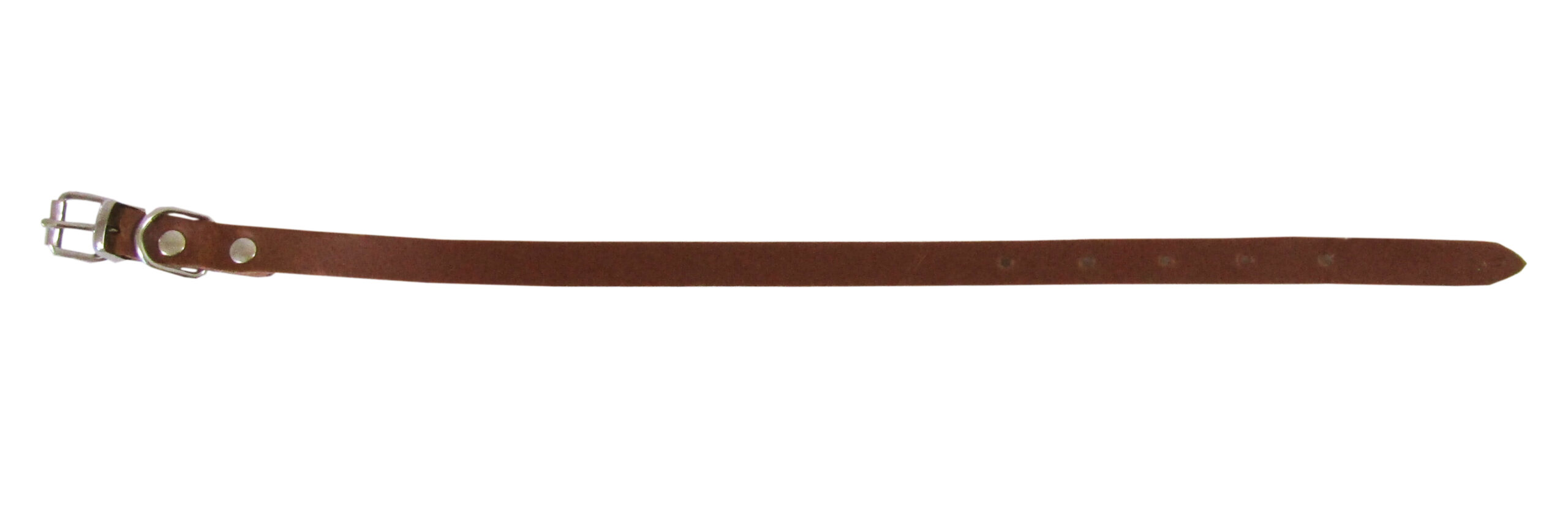 Zgarda simplă maro Exotic-K, 1.2/37 cm pentru câini Zgarda simplă maro Exotic-K, 1.2/37 cm pentru câini
