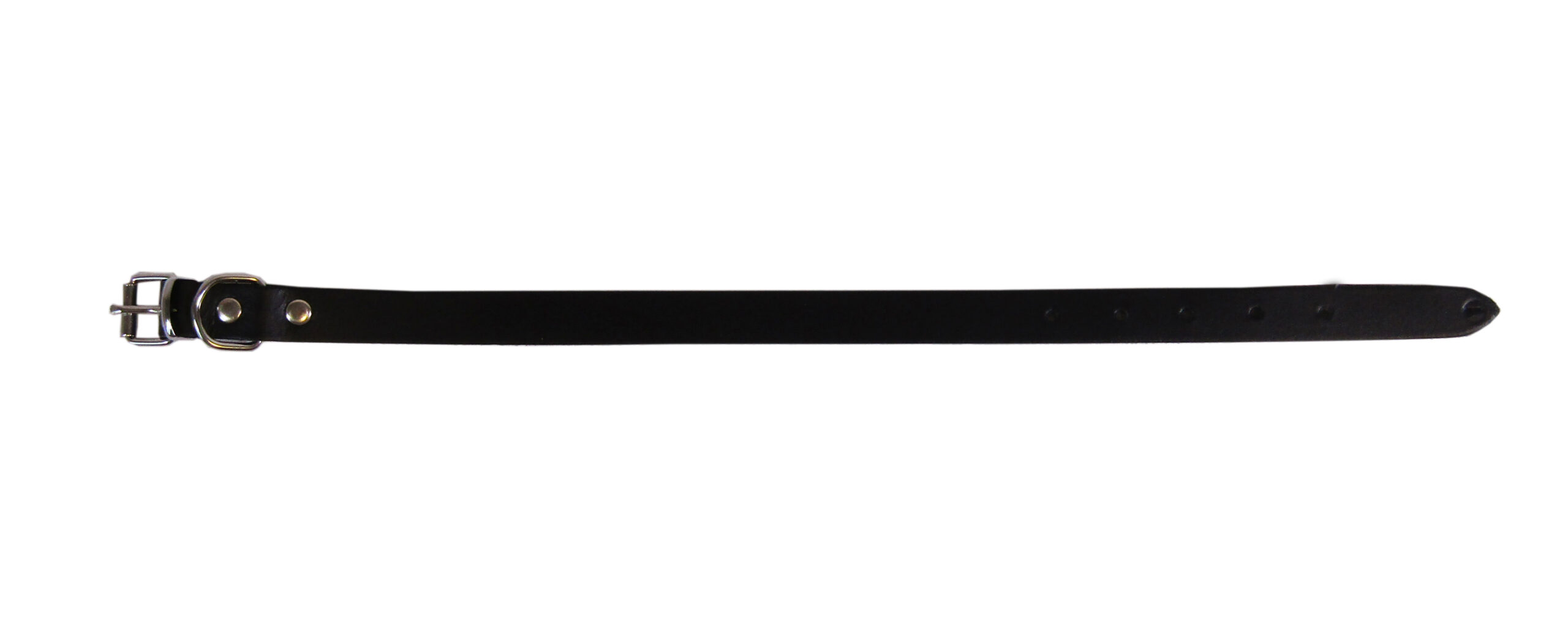 Zgarda Exotic-K L1 Neagră 1.6/40 cm - Stil Simplu pentru Câini Zgarda Exotic-K L1 Neagră 1.6/40 cm - Stil Simplu pentru Câini