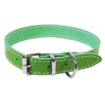 Zgarda Verde Simplă 45 cm L2 2.0 de la Exotic-K