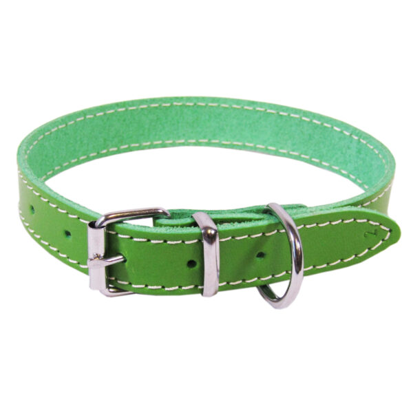 Zgarda Verde Simplă 45 cm L2 2.0 de la Exotic-K