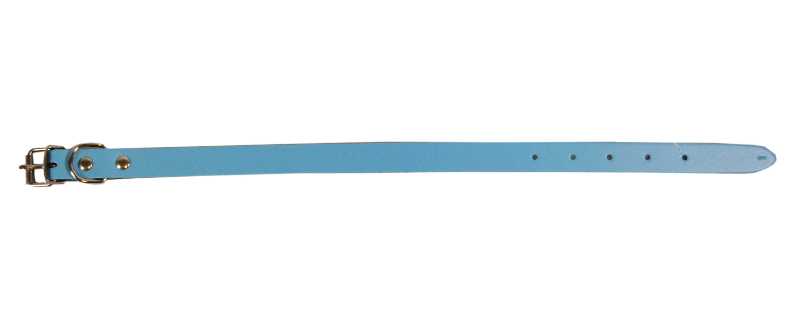 Zgarda Albastră L1 1.6/40 cm - Simplă, Brand Exotic-K Zgarda Albastră L1 1.6/40 cm - Simplă, Brand Exotic-K