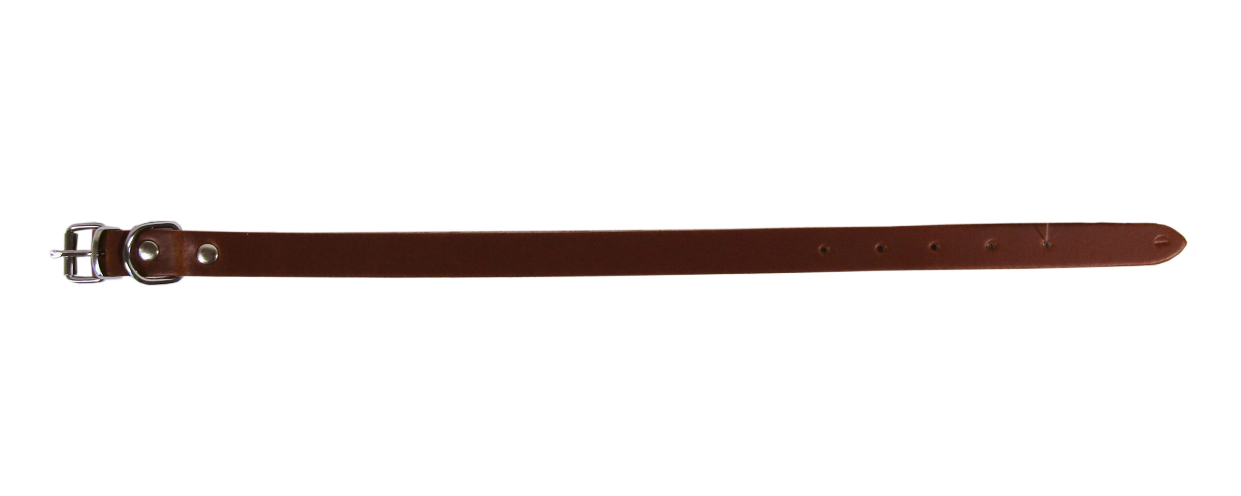 Zgarda Exotic-K L1 1.6/40 cm Maro - Simplu și Elegant Zgarda Exotic-K L1 1.6/40 cm Maro - Simplu și Elegant