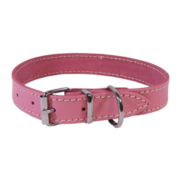 Zgarda Exotic-K L2 2.0, 45 cm, Simplă, Roz pentru Pisici