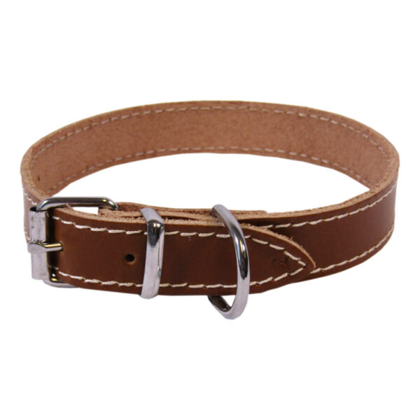 Zgarda Exotic-K L2 2.0, 45 cm, Maro - Stil Simplu pentru Câini