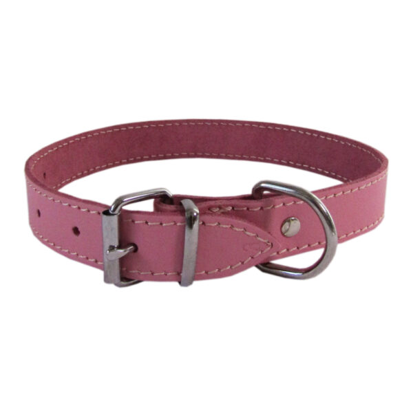 Zgarda Exotic-K L3 Roz 2.5/53 cm - Ușor și Elegant pentru Pisici