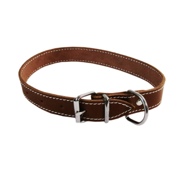Zgarda maro L3 2.5/53 cm - Simplă și elegantă de la Exotic-K