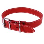 Zgarda Exotic-K L4 3.0, 62 cm, Simplă, Roșie pentru Câini