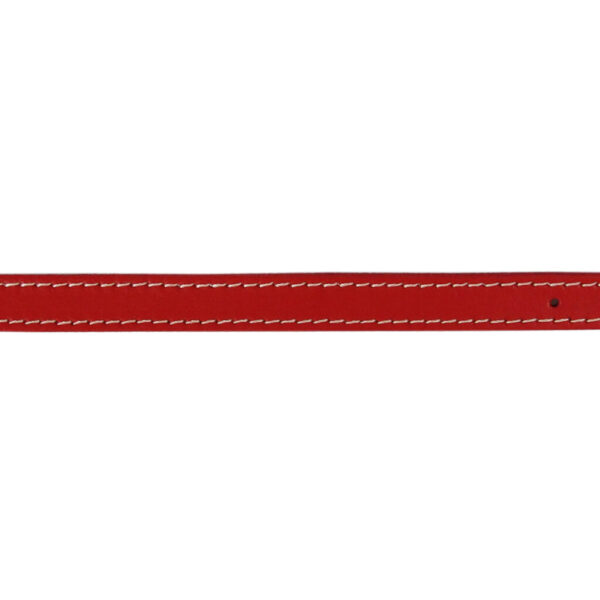 Zgarda Exotic-K L1 1.6/40 cm din Pasla Roșie pentru Câini