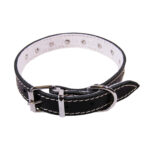 Zgarda Exotic-K L2 2.0 de 45 cm cu Ornament Negru