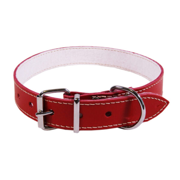 Zgarda Exotic-K L4 3.0/62 cm din Păsla Roșie pentru Câini