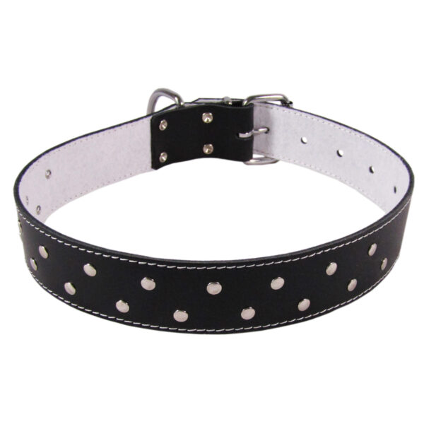 Zgarda Exotic-K L6 4.0/74 cm cu Ornament Negru pentru Câini