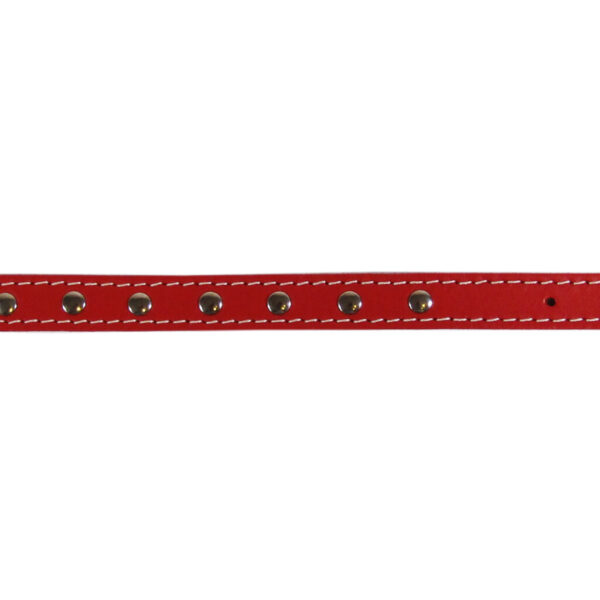 Zgarda Exotic-K L1 40 cm cu Ornament Roșu - Stil și Confort