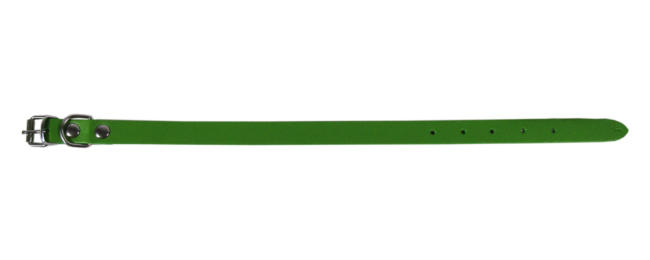 Zgarda Verde Simplă L1 1.6/40 cm - Exotic-K Zgarda Verde Simplă L1 1.6/40 cm - Exotic-K