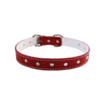 Zgarda Exotic-K L3 Roșie cu Ornament, 2.5/53 cm pentru Câini