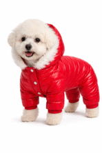 (POC) Salopeta de Iarna rosie pentru Caini - SuperCozy by PetOne Couture