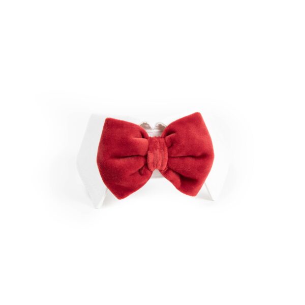 (POC) Guler cu papion pentru Caini si Pisici - Red Velvet by PetOne Couture