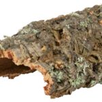 Decor Plută Natural pentru Reptile și Rozătoare, M:10-15cm x 25-40cm