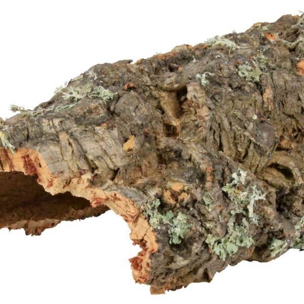 Decor Plută Natural pentru Reptile și Rozătoare, M:10-15cm x 25-40cm