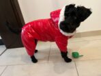 Salopeta de Iarna rosie pentru Caini - SuperCozy by PetOne Couture - imagine 2