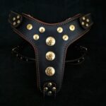 Ham Bijou Bestia din Piele Naturală, L/XL, Negru și Portocaliu