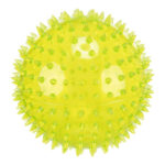 Minge Arici pentru Câini, Plutitoare, TPR, 12 cm, Lime - Trixie