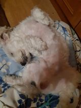 000000000 PetOne: PetShop Online - poze,poze amuzante cu animale,poze dragute,poze cu animale haioase,animale haioase