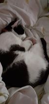 11 PetOne: PetShop Online - poze,poze amuzante cu animale,poze dragute,poze cu animale haioase,animale haioase