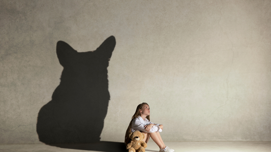 PetOne: PetShop Online - vise