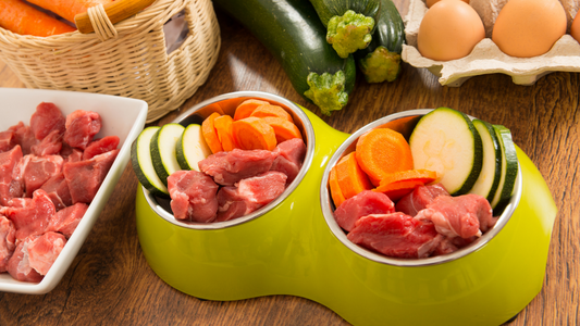 PetOne: PetShop Online - alimente sanatoase pentru caini