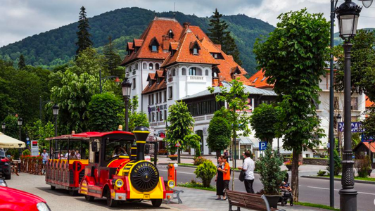 PetOne: PetShop Online - regulament concurs ”un weekend de vis la sinaia”