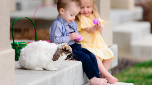 PetOne: PetShop Online - caini, pisica, copiii, copii, animale de companie