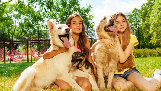 PetOne: PetShop Online - ce învață copiii de la animalele de companie,beneficii animale de companie pentru copii,lecții importante pentru copii și animale de companie,animale de companie și educația copiilor,ce poate învăța un copil de la un animal de companie