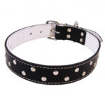 Zgarda Exotic-K L5 4.0/63 cm cu Ornament Negru pentru Câini