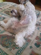 art5 PetOne: PetShop Online - poze,poze amuzante cu animale,poze dragute,poze cu animale haioase,animale haioase