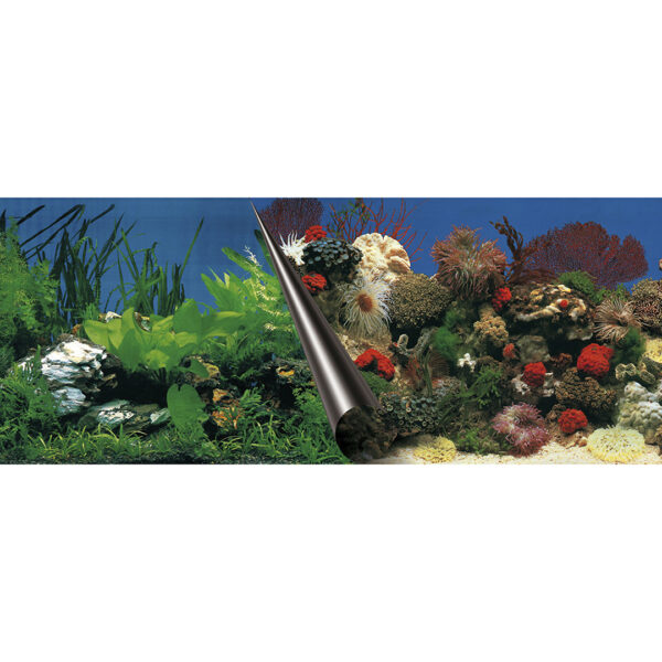 Fundal Dublu Acvariu Aqua Della, Piatra și Coral, 60x30 cm
