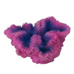 Decor Coral Symphylia Violet Aqua Della - 12x5x12 cm pentru Acvarii