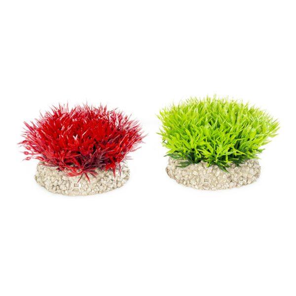 Planta Artificială Aqua Della Muschi Crystalwort 5 cm pentru Acvarii