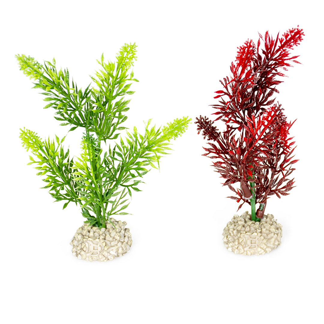 Planta Artificială Elodea Densa S 13 cm - Accesoriu Acvariu Colorat Planta Artificială Elodea Densa S 13 cm - Accesoriu Acvariu Colorat