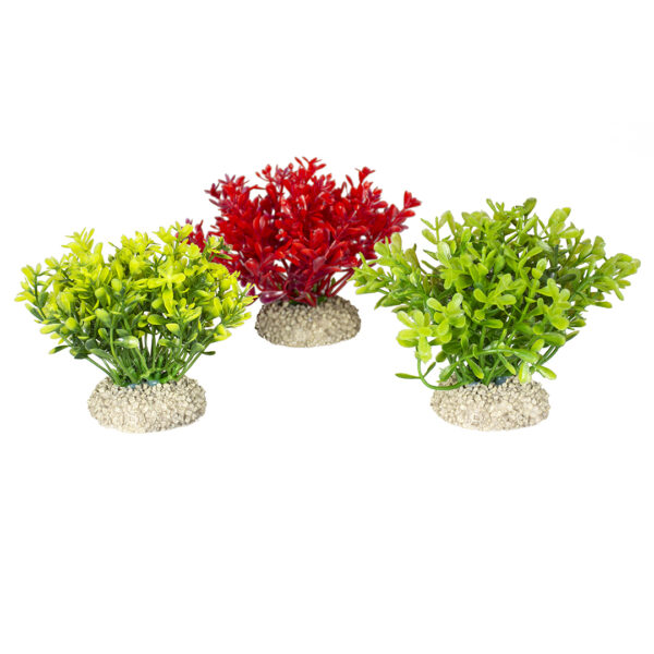 Planta Artificială Glosso S 9 cm Aqua Della