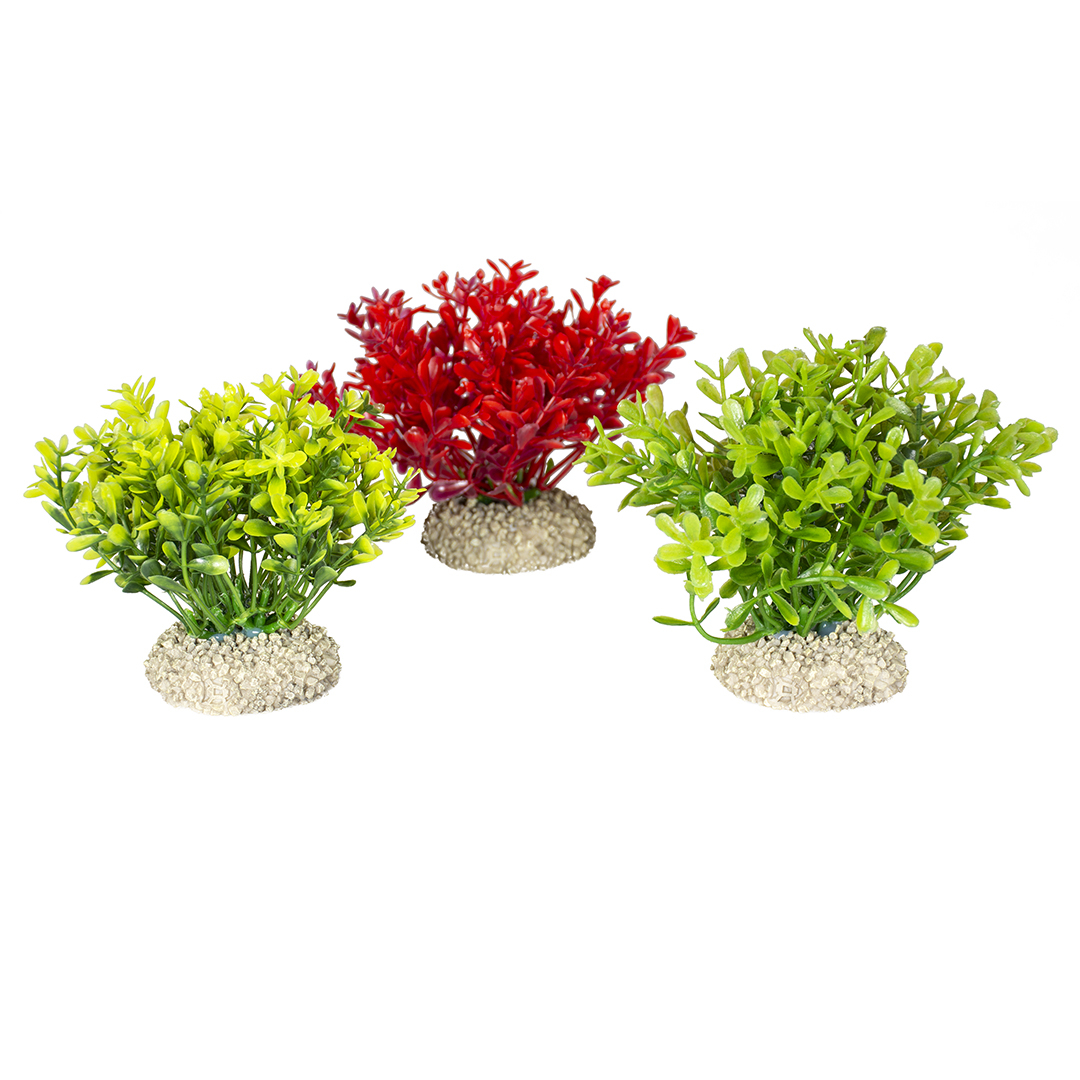 Planta Artificială Glosso S 9 cm Aqua Della Planta Artificială Glosso S 9 cm Aqua Della
