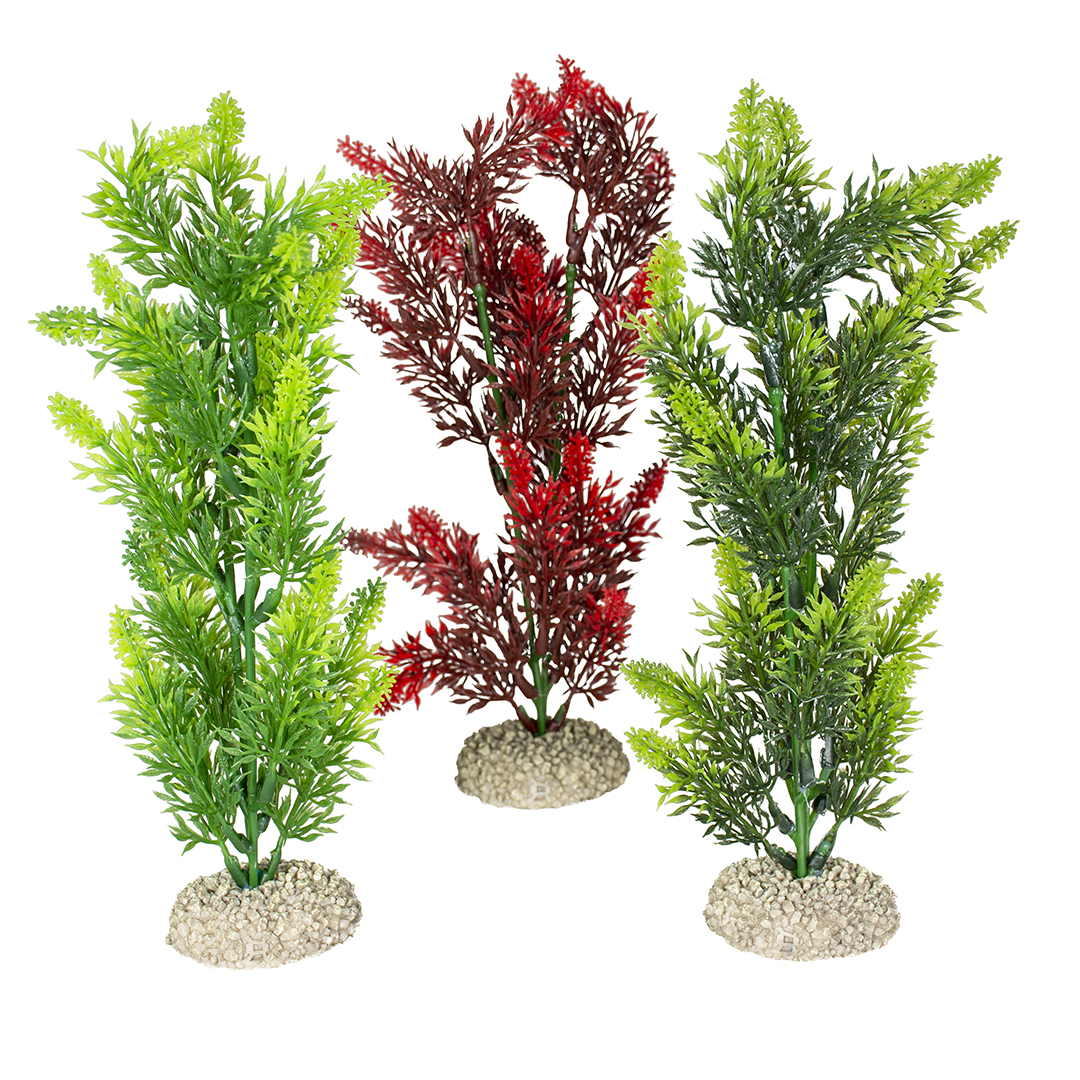 Planta Artificială Elodea Densa M 25 cm - Aqua Della, Diverse Culori Planta Artificială Elodea Densa M 25 cm - Aqua Della, Diverse Culori