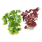 Planta Artificială Anubias Nana L 25 cm - Aqua Della, Diverse Culori