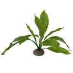 Planta Artificială Echinodorus Verde 24 cm