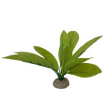 Planta Artificială Echinodorus Verde 24 cm pentru Acvarii și Terarii