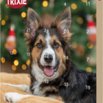Calendar Advent cu Delicii pentru Câini - Trixie 30x34x3.5 cm