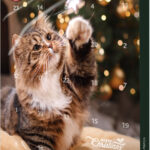 Calendar Advent Trixie pentru Pisici cu Delicatese Premium