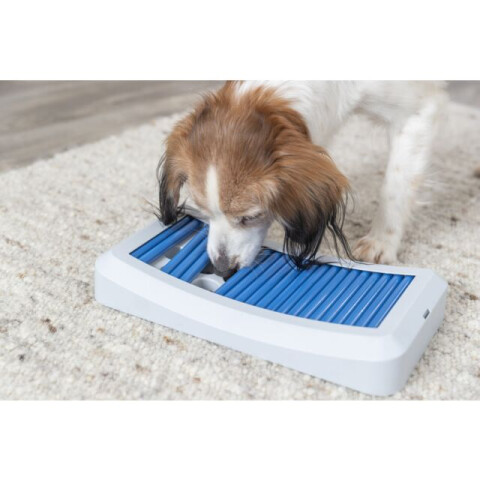 PetOne: PetShop Online - caini si pisici,animale de companie,caini,pisici,petone