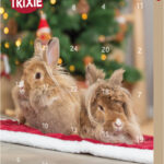 Calendar Advent cu Delicii pentru Rozătoare - Trixie 30x34 cm