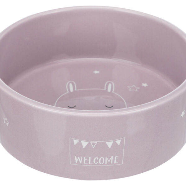 Castron Ceramic Trixie pentru Câini Mici, 0.3L, Diverse Culori